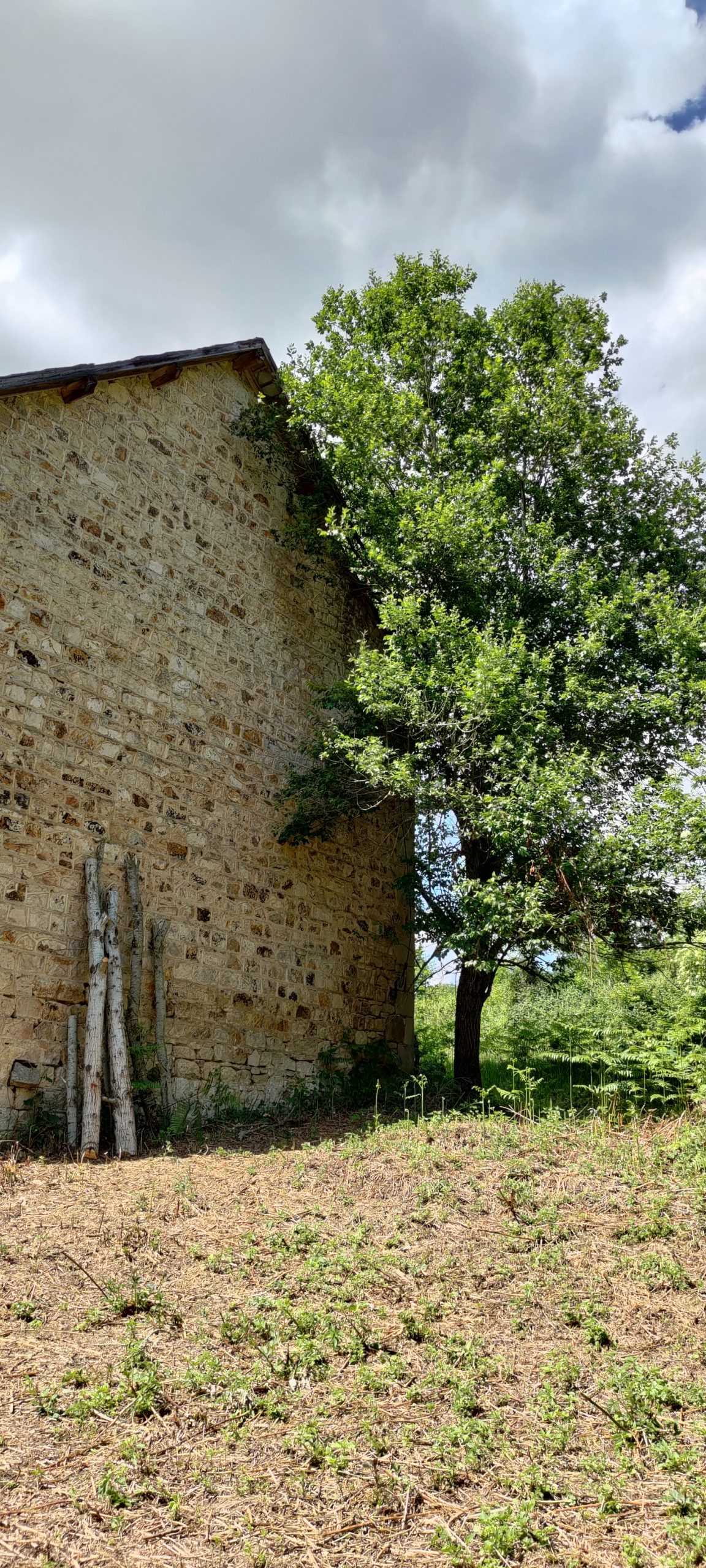 L'extérieur devient moins sauvage